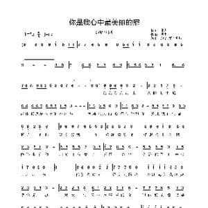 你是我心中最美丽的扉_歌谱投稿_词曲:朗坤 朗坤