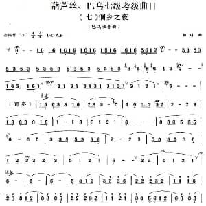 巴乌七级考级曲目 侗乡之夜 杨明