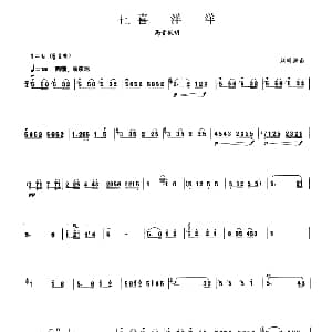 喜洋洋 板胡曲集第二级