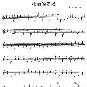 壮丽的农场 吉他谱 E D 厄兰加