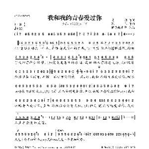 我和我的青春爱过你_歌曲简谱_词曲:高羽 陈伟