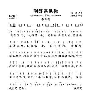 刚好遇见你_歌曲简谱_词曲:高进 高进