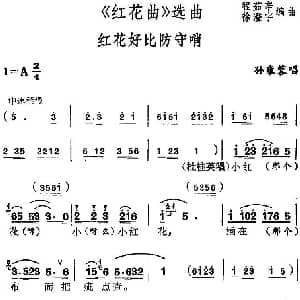 锡剧 红花曲 选曲 红花好比防守哨 孙雍容 程茹辛 徐澄宇编曲