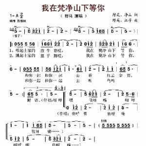 我在梵净山下等你_歌谱投稿_词曲:野马 净山 野马 江子