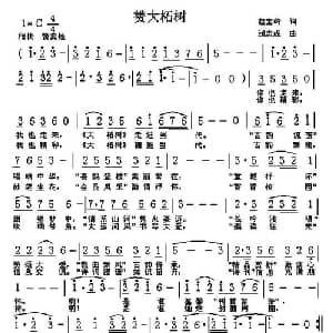 赞大柘树_通俗唱法乐谱_词曲:赵宝岭 刘志成