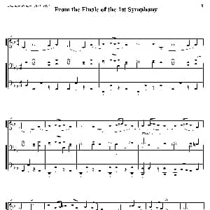 From the Finale of the 1st Symphony
