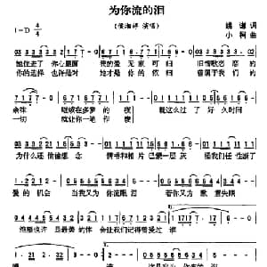 为你流的泪_通俗唱法乐谱_词曲:姚谦 小柯