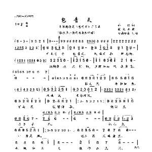 包青天_歌曲简谱_词曲:孙仪 杨秉忠