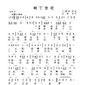 啊丁香花_歌曲简谱_词曲:关丽艳 佟中华 佟中华