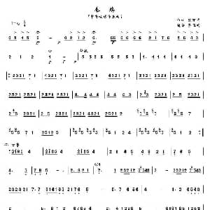 秦殇 中音板胡 陈百甫