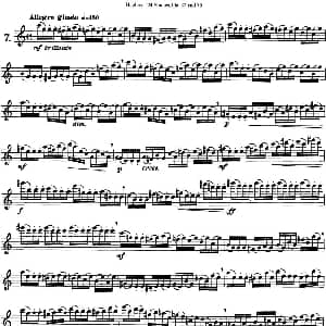 长笛曲谱 | 胡埃斯24首长笛练习曲Op.32 NO.7 胡埃斯