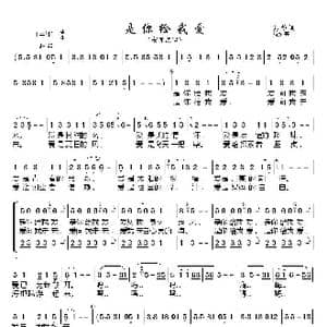 是你给我爱_歌谱投稿_词曲:张黎 徐沛东