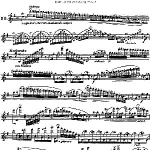 长笛曲谱 | 柯勒30首高级长笛练习曲作品75号 NO.30 Kohler 柯勒