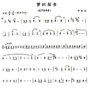 葫芦丝谱 | 梦回故乡 冰融