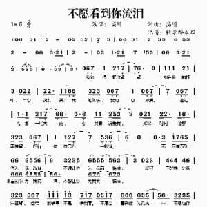 不愿看到你流泪_歌谱投稿_词曲:高进 高进