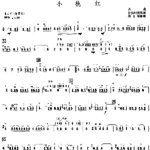 小桃红 甘尚时高胡演奏谱 居文郁整理版 居文郁整理