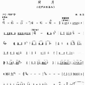 葫芦丝谱 | 拜月 谭军