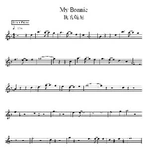 电子琴谱 | 我的鲍尼