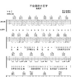 不会泪的小王子 吉他谱 耿泰河 耿泰河