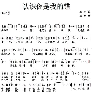 认识你是我的错_通俗唱法乐谱_词曲:北冰 李戈