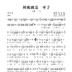 转眼就是一辈子_歌曲简谱_词曲:徐晓岚 李勇军