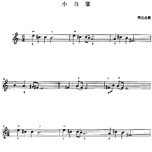 小提琴谱 | 小白菜