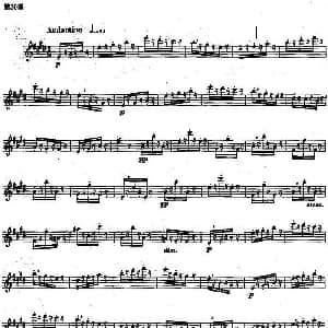 长笛曲谱 | 长笛练习曲100课之第30课 练习谱 吹奏出38拍