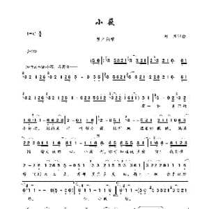 小薇_歌谱投稿_词曲:阿弟 阿弟