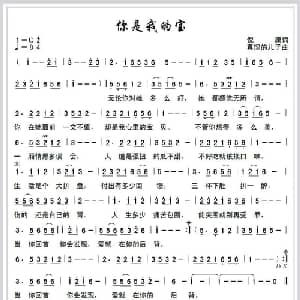 你是我的宝_通俗唱法乐谱_词曲:倪康 真理的儿子