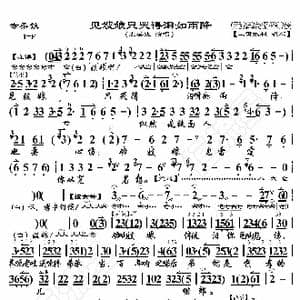 赤桑镇 见嫂娘只哭得泪如雨降_歌曲简谱_词曲:暂无 恒流星制谱