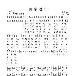 回家过年_歌曲简谱_词曲:张英茹 小弩