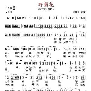 野菊花_歌谱投稿