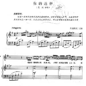 你的选择_通俗唱法乐谱_词曲:海盗船长 海盗船长