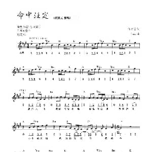 电子琴谱 | 命中注定 线简混排弹唱谱 许常德 Loso