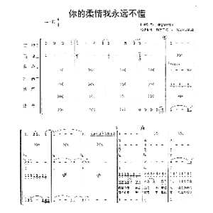 你的柔情我永远不懂_歌曲简谱