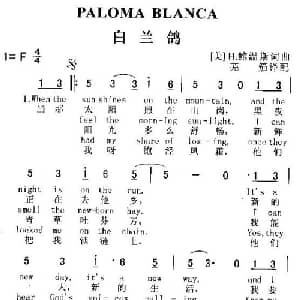 PALOMA BLANCA_外国歌谱