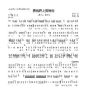 爱情路上我等你_歌曲简谱_词曲:米啦 钰柃