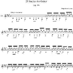 Napoleon Coste 25 Studies,Op.38 吉他谱