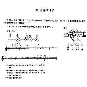 小提琴谱 | 学琴之路练习曲29 小燕快回家