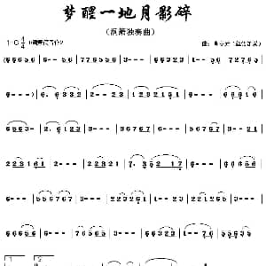 梦醒一地月影碎 洞箫独奏 肖冬元 丝语箫埙