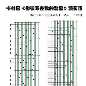 你被写在我的歌里_歌谱投稿