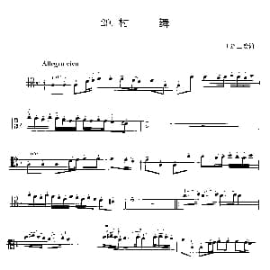 村舞 大提琴 王连三