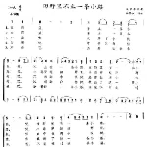 田野里不止一条小路 俄罗斯 _外国歌谱_词曲: 俄罗斯民歌 林蔡冰译配
