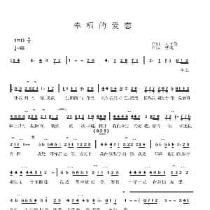 幸福的爱恋_歌谱投稿_词曲:梦琪 天子俊