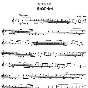 趣味练习曲 快乐的小伙