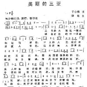 美丽的三亚_歌曲简谱_词曲:丁小炜 粱铭