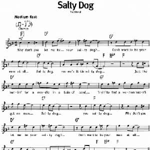 蓝调音乐:Salty Dog_外国歌谱