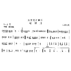 蛤蟆 云南花灯 中国民族民间舞曲选