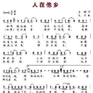 人在他乡_通俗唱法乐谱_词曲:王彬 大平