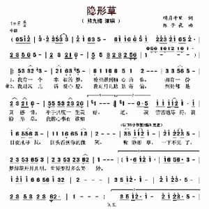隐形草_歌曲简谱_词曲:明月千里 陈子夜